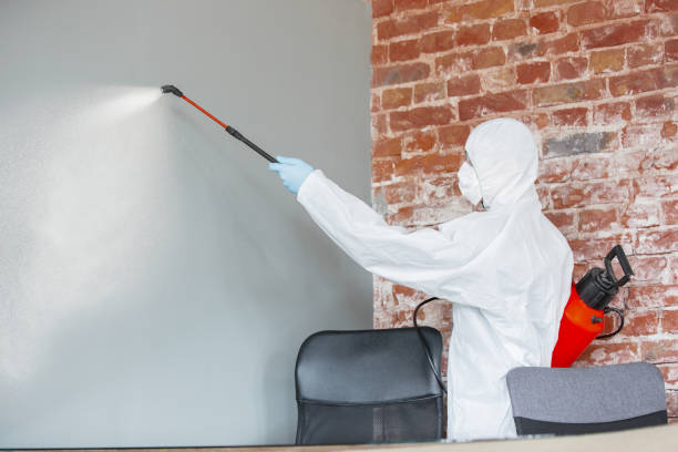 Best Industrial Mold Remediation  in Hardinsburg, KY