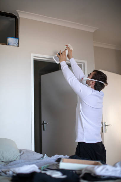Best Black Mold Removal  in Hardinsburg, KY