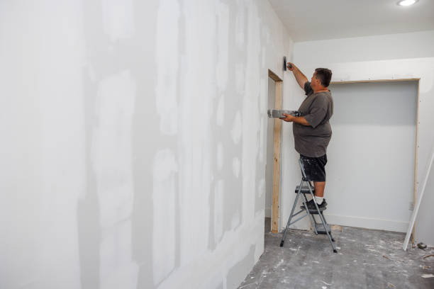 Best Black Mold Removal  in Hardinsburg, KY