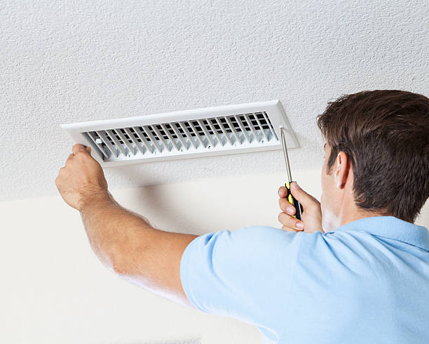 Best Water Damage & Mold Remediation  in Hardinsburg, KY