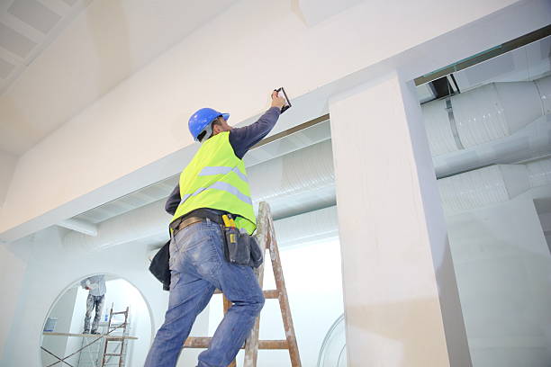 Professional Mold Removal in Hardinsburg, KY