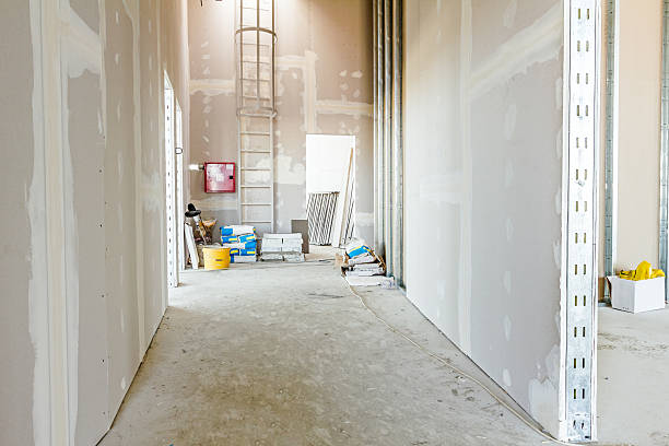 Environmental Consulting for Mold Prevention in Hardinsburg, KY