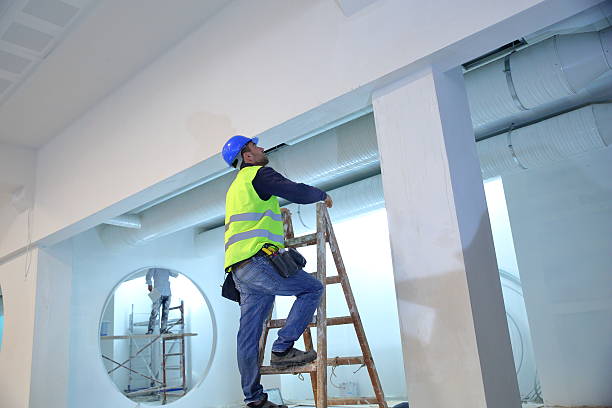 Best Emergency Mold Remediation  in Hardinsburg, KY
