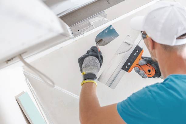 Best Environmental Consulting for Mold Prevention  in Hardinsburg, KY